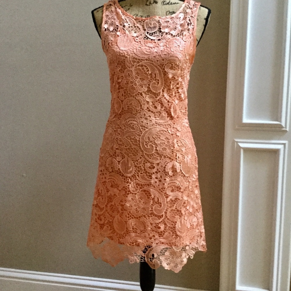 Fabulous Peach Lace Covered Dress